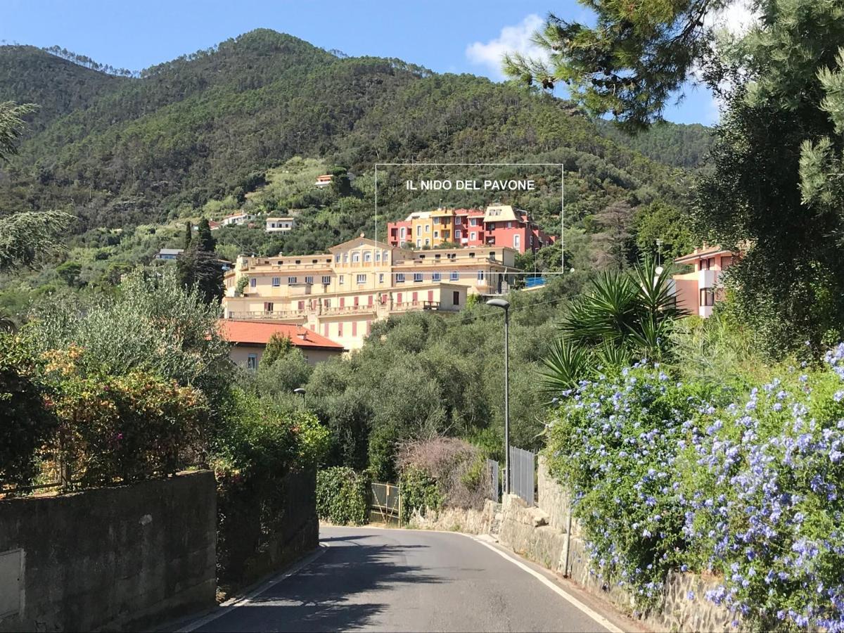 Il Nido Del Pavone Lägenhet Monterosso al Mare Exteriör bild